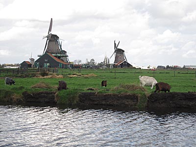 ザーンセ スカンス　Zaanse Schans